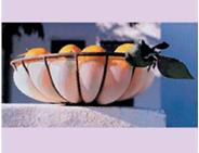 Coupe SBS Coquille